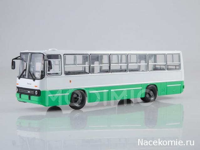 Наши Автобусы №25 - Икарус-260.06