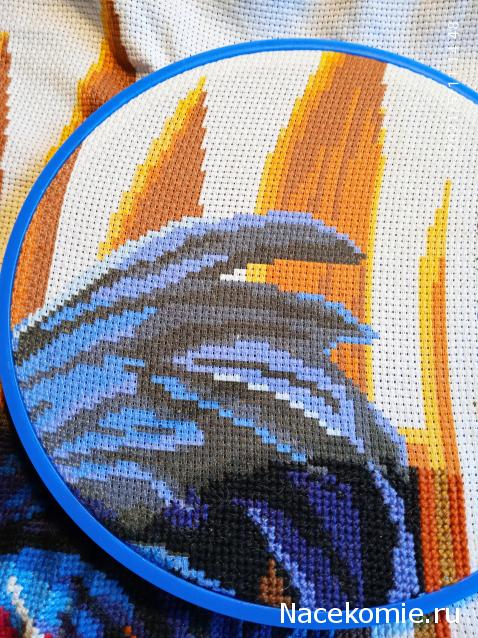 100 крестиков!