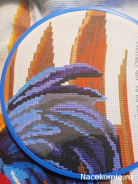 100 крестиков!