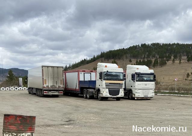 Автолегенды вживую