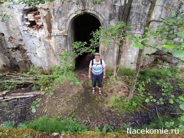 Тракторная болталка