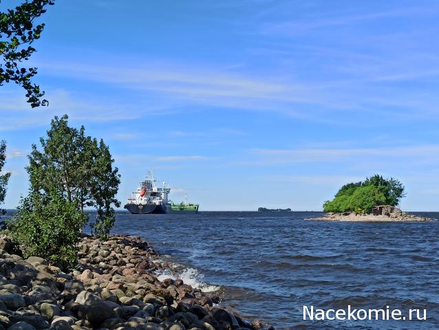 Тракторная болталка