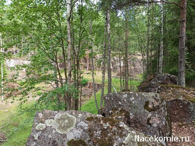 Тракторная болталка