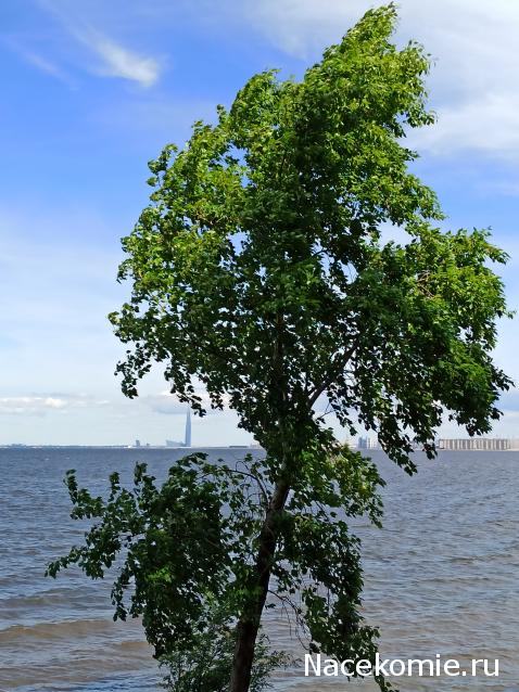 Тракторная болталка