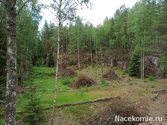 Тракторная болталка