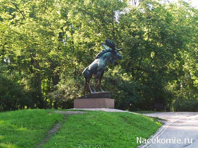 "Живой уголок"