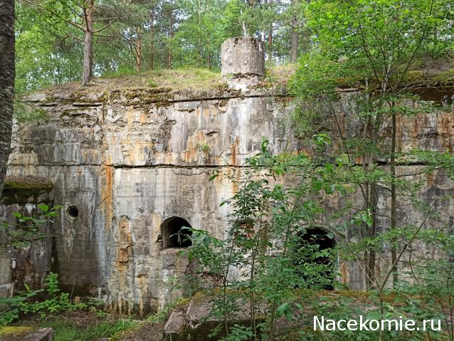 Тракторная болталка