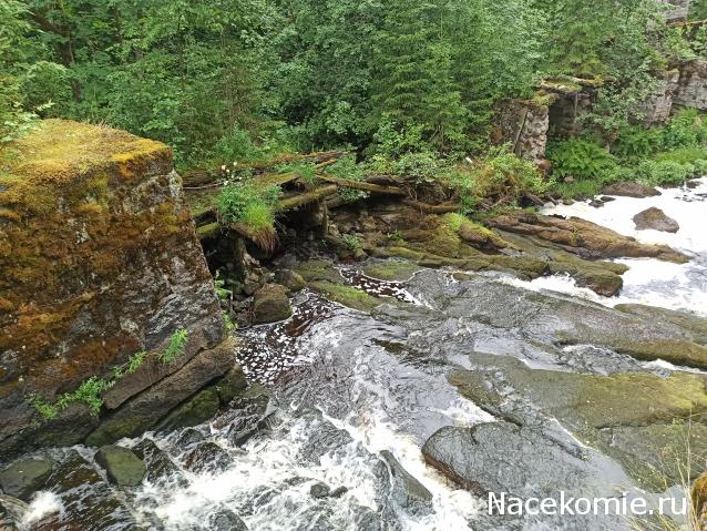 Тракторная болталка