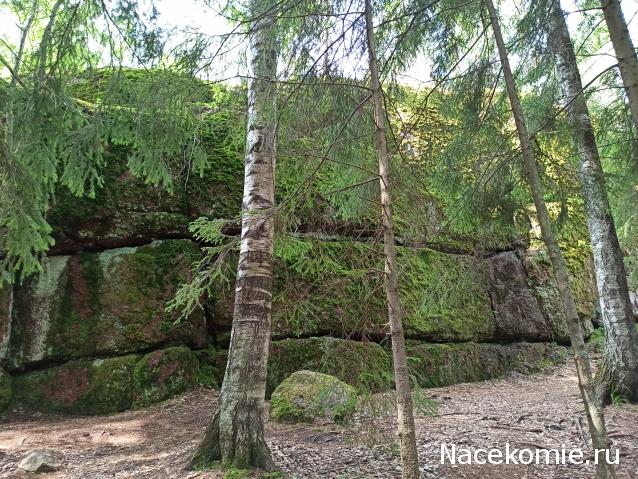 Тракторная болталка