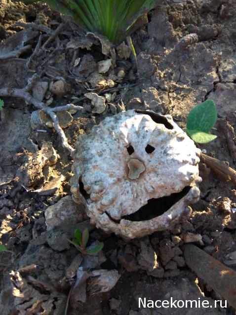 Eva1949 - Дом мечты-души моей воспоминания; 1Abrikoska - Мой гостеприимный дом