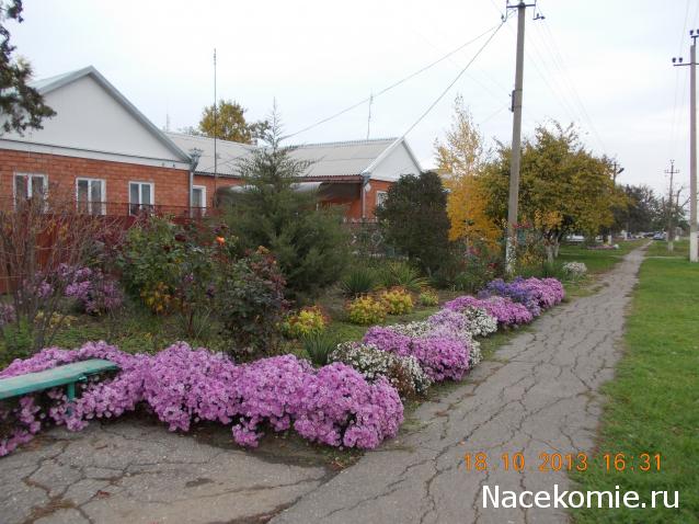 Eva1949 - Дом мечты-души моей воспоминания; 1Abrikoska - Мой гостеприимный дом