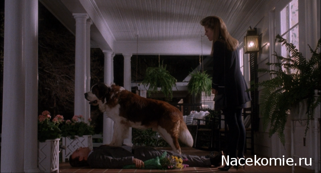 Кинозал автолюбителей