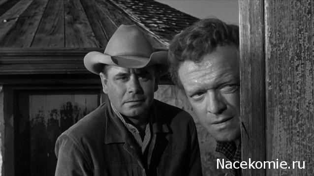 Кинозал автолюбителей