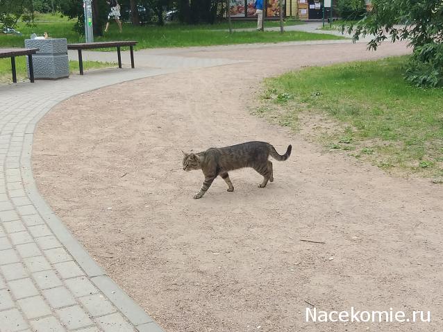 "Живой уголок"