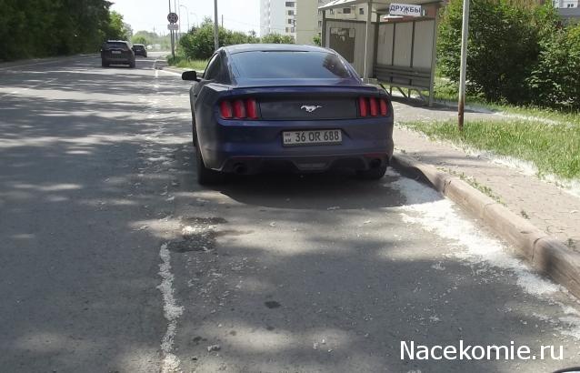 Автолегенды вживую