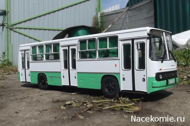 Наши Автобусы №25 - Икарус-260.06