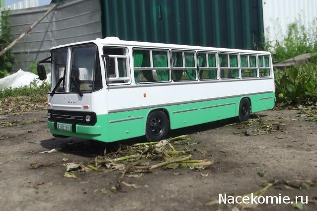 Наши Автобусы №25 - Икарус-260.06