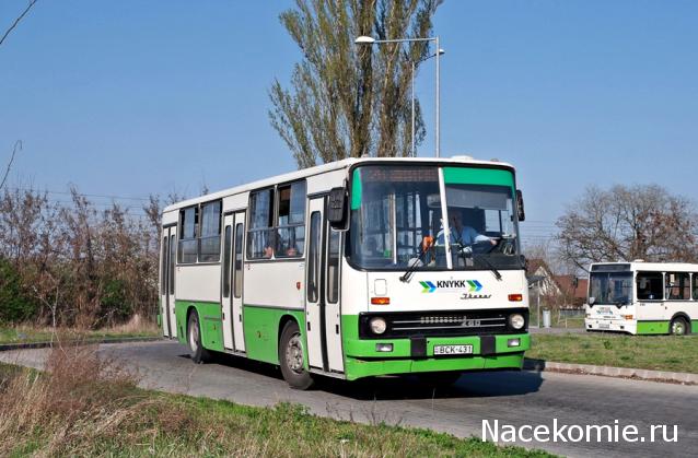 Наши Автобусы №25 - Икарус-260.06