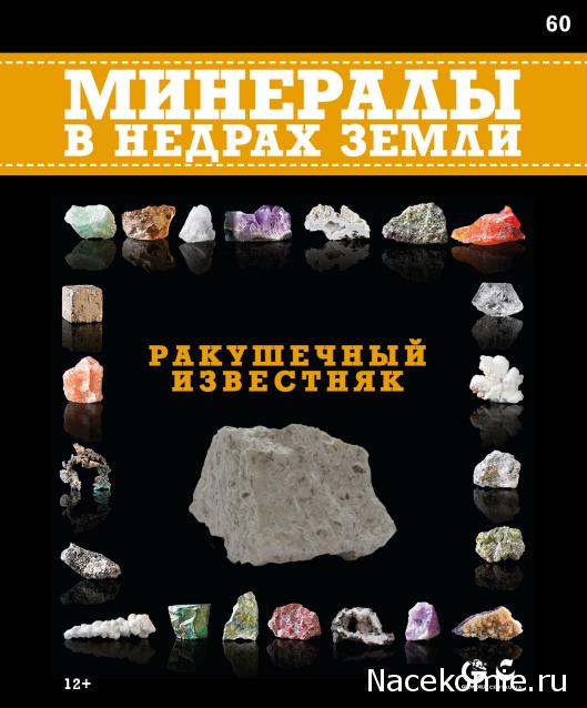 Минералы №60 - Ракушечный Известняк