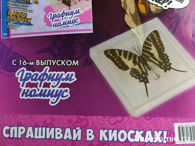 Удивительные Бабочки №16 - Графиум Номиус