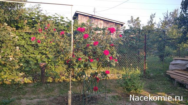 Eva1949 - Дом мечты-души моей воспоминания; 1Abrikoska - Мой гостеприимный дом