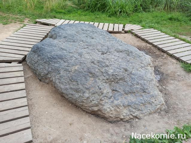 Тракторная болталка