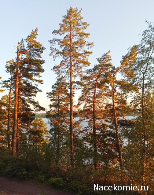 Тракторная болталка