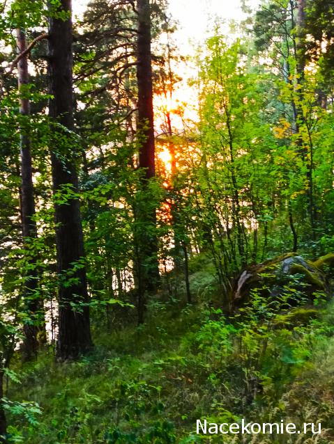 Тракторная болталка