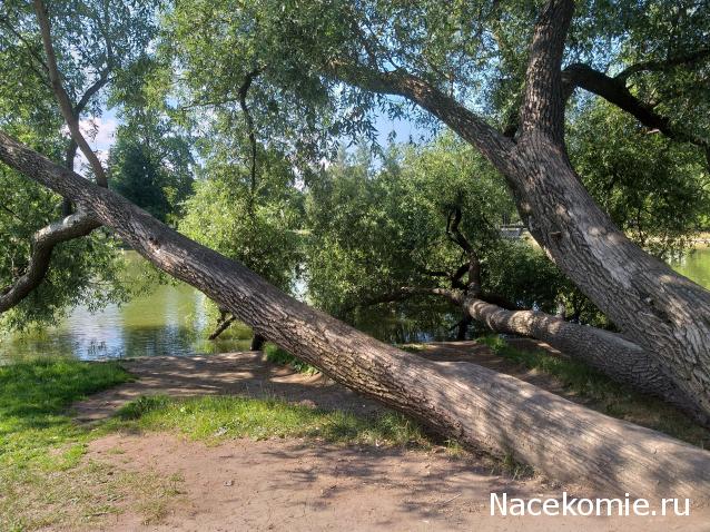 Тракторная болталка