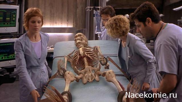 Кинозал автолюбителей