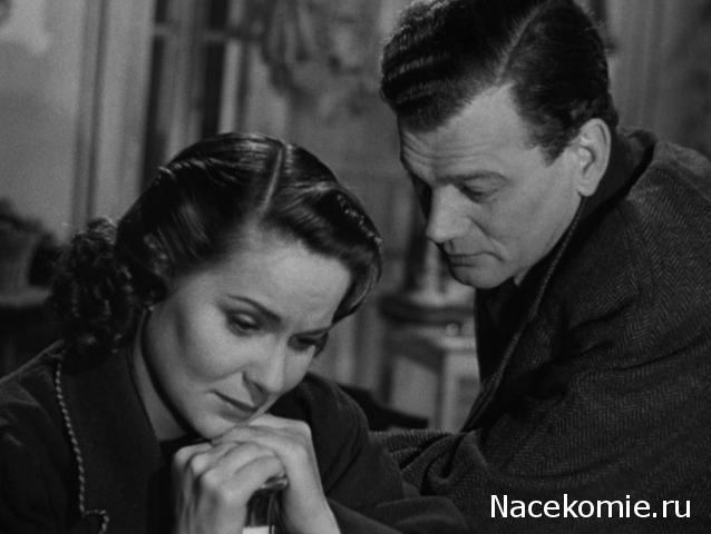 Кинозал автолюбителей