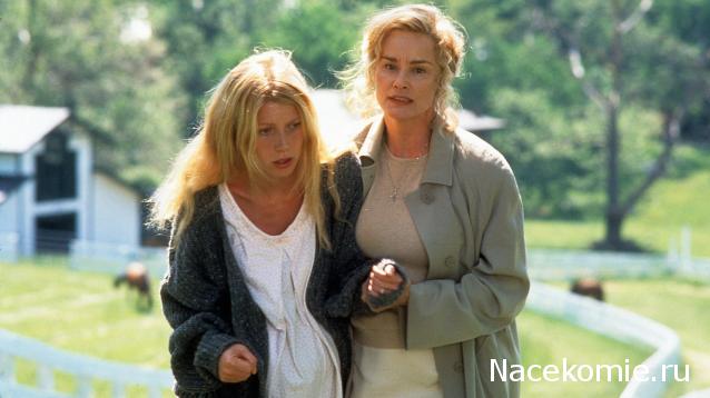 Кинозал автолюбителей