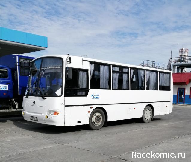 Наши Автобусы №26 - ПАЗ-4230 "Аврора"