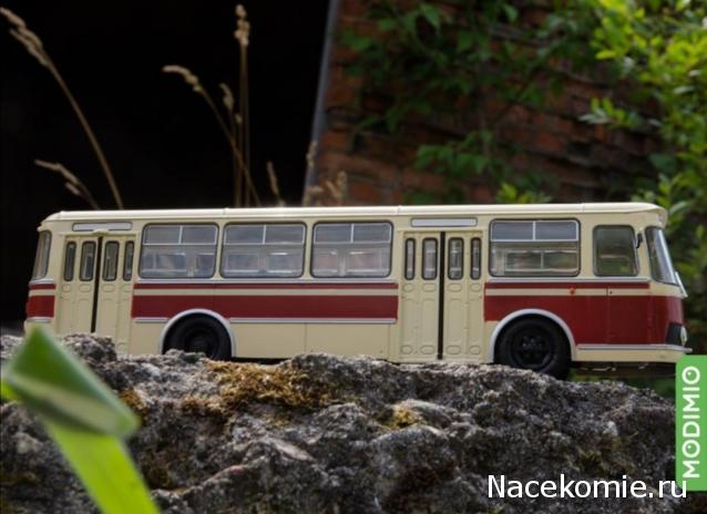 Наши Автобусы №28 - ЛиАЗ-677