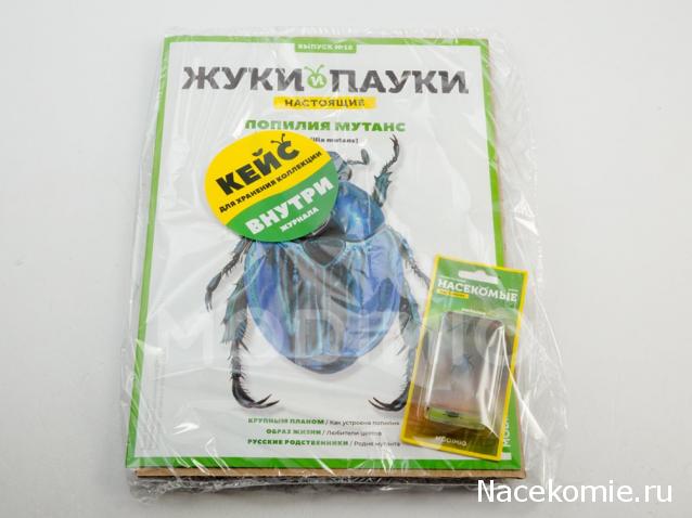 Жуки и Пауки №10 - Попилия Мутанс