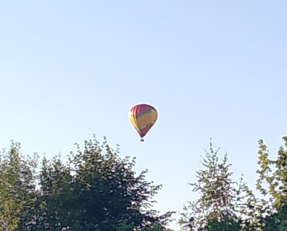 Тракторная болталка