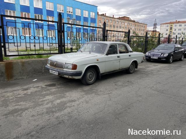 Автолегенды вживую