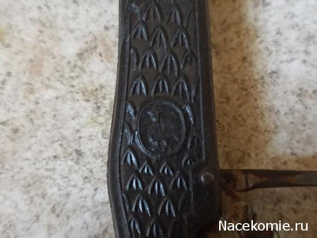 Вперёд в прошлое!