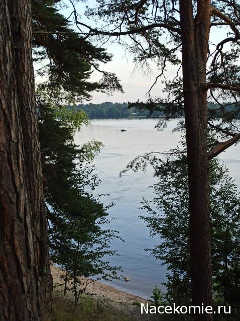 Тракторная болталка