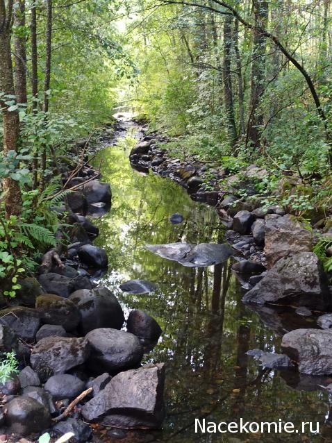 Тракторная болталка
