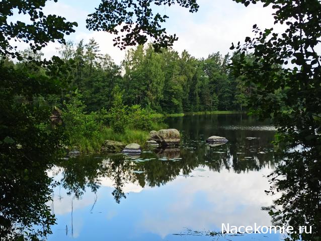 Тракторная болталка