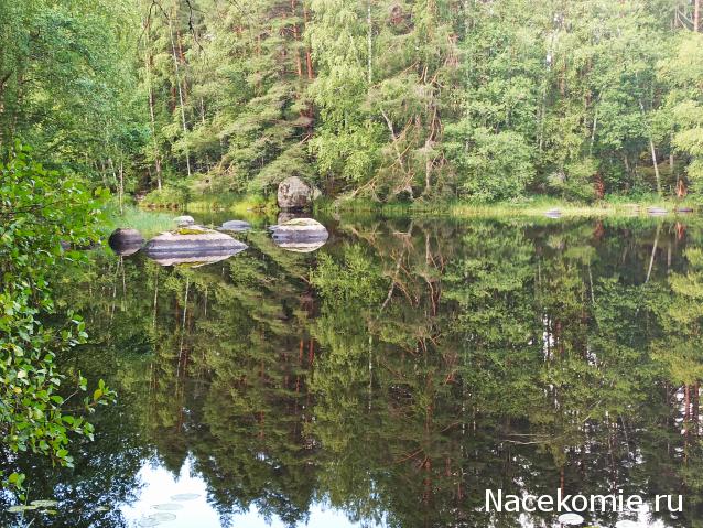 Тракторная болталка