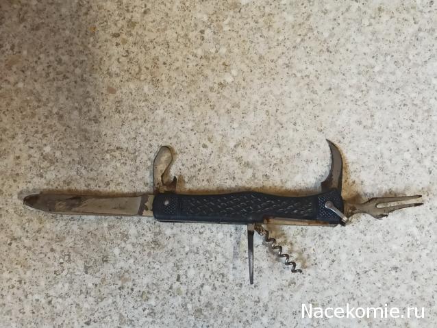 Вперёд в прошлое!