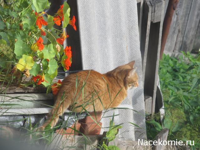 "Живой уголок"