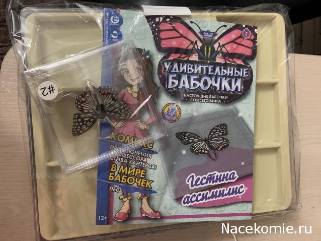 Удивительные Бабочки - График Выхода и обсуждение