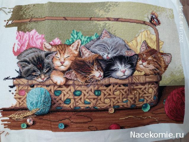 100 крестиков!