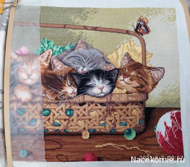 100 крестиков!