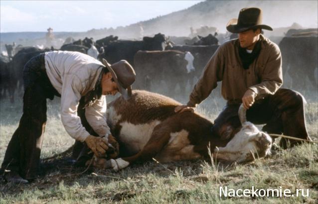 Кинозал автолюбителей