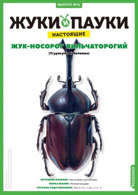 Жуки и Пауки №11 - Жук-Носорог Вильчаторогий