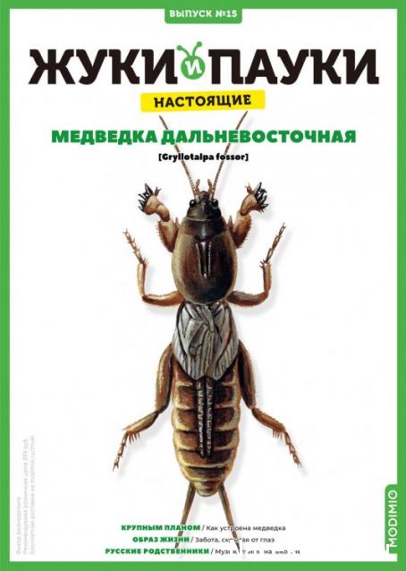 Жуки и Пауки - График выхода и обсуждение
